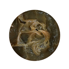 BX-289(ZG3) Oil resistant seal grease
