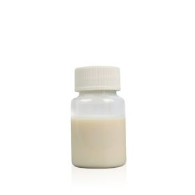 BX-308/P80 Quick-Drying Rubber Lubricant for Automotive | High Temperature Resistance | OEM Approved